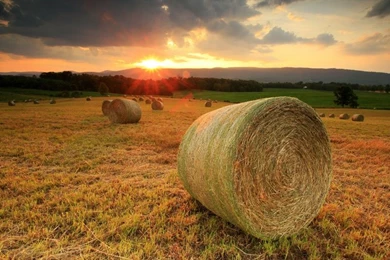 Sunset Nature Fields 1600x1200 Wallpapers – Nature Fields HD ...