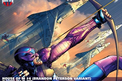 My Free Wallpapers   Comics Wallpapers : House Of M   Hawkeye