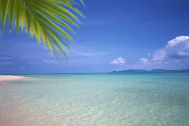 Beach Wallpapers Mural / Cutekid / Stillgalaxy