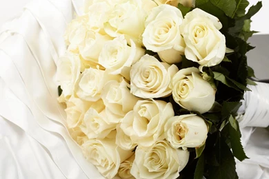 Wallpapers: White Rose Bouquet Wallpapers