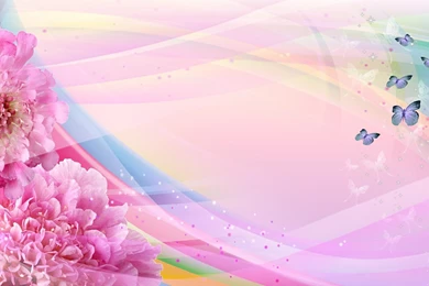 Butterfly And Flower Wallpapers   Wallpapers Cave