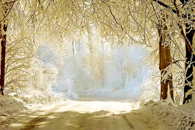 30+ Beautiful Winter Wallpapers, Backgrounds, Images