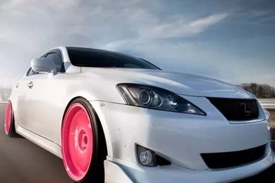 Blue Lotus IOS 8 Pattern Art