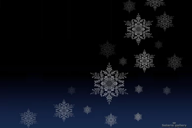 Christmas Solaria 7.jpg