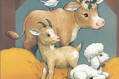 The Christmas Story: The Birth Of Jesus Wallpapers   Wallcoo.net