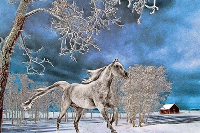 Snow Desktop Backgrounds