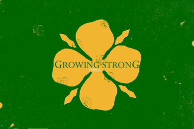 Game Of Thrones House Tyrell Bracelet