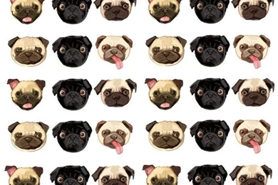 PUG BACKGROUNDS TWITTER & BLOG PAGES On Pinterest