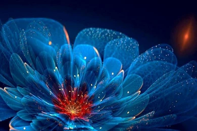 Wallpapers Downloads   HD Wallpapers Pretty