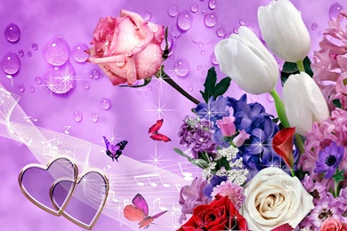 Unique Beautiful Flowers Wallpapers