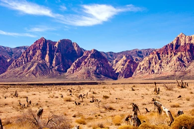 Galaxy Tab (7.0 / 8.9 / 10.1) Wallpapers