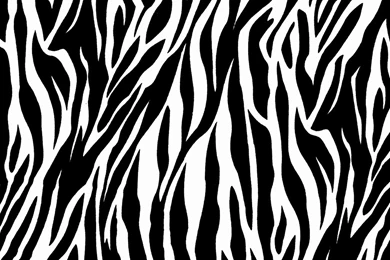 Wallpapers Zebra   Wallpapers Zone