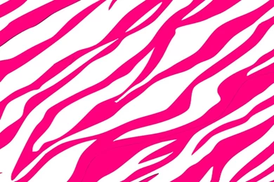 Pink Black And White Zebra Bedroom   HOME PLEASANT