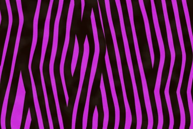 The Pictures For   > Neon Tiger Print Wallpapers