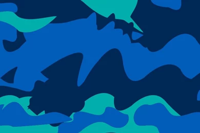 Downloads – Pink+Dolphin