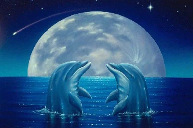 Cute Wallpapers Wallpapers Cute Wallpapers Hd Wallpaper Backgrounds ...