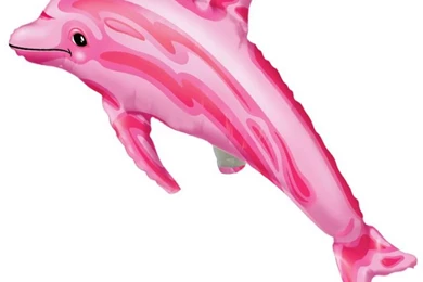 Pink Dolphin Wallpapers   Http://wallpaperzoo.com/pink dolphin ...