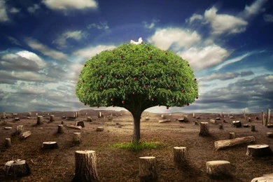 Latest HD Nature Wallpapers 2014