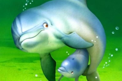 Cute Wallpapers Wallpapers Cute Wallpapers Hd Wallpaper Backgrounds ...