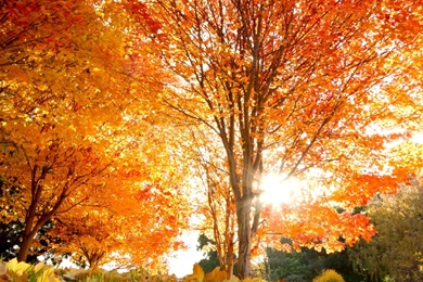 324396 September 2560x1440px By Becca Curram