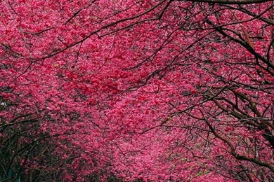 Awesome Hd Wallpapers Iphone