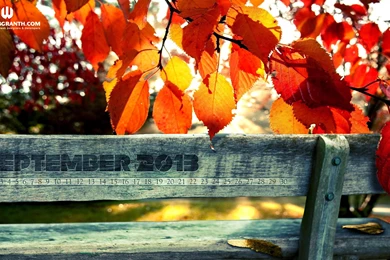 Calendar 2013 Wallpapers For Windows 8 [HD]
