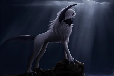 Absol Wallpapers Wallpapers