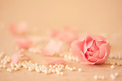 Pics Of Cute Wallpapers   Wallpapers Zone