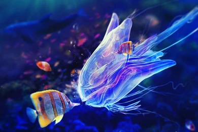 5D Marine Aquarium Live WP APK By PuZhenHua Details