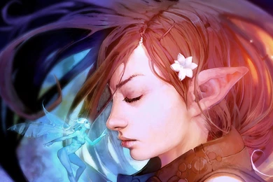 Elf Computer Wallpapers, Desktop Backgrounds