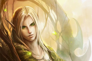 Download Wallpaper: Girl Elf Woman, Download Photo, Wallpapers,