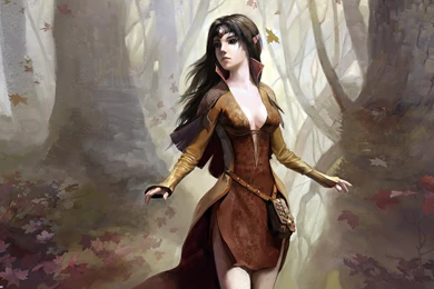 Elf Computer Wallpapers, Desktop Backgrounds