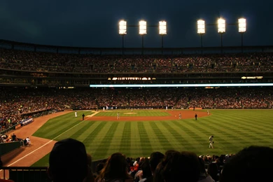 Baseball Stadium Pictures S