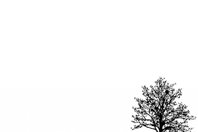 Minimalist Tree HD Desktop Wallpapers : High Definition ...