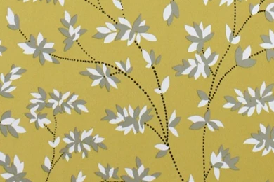 Fun iPhone Wallpapers!