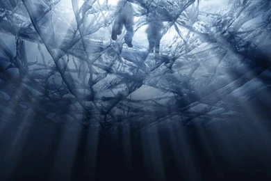 Tom Clancy's Rainbow Six: Siege   Operation Black Ice Wallpapers ...