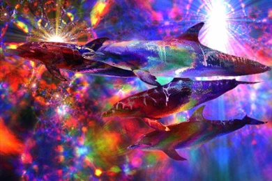 Acid Trip Backgrounds   Wallpapers Cave