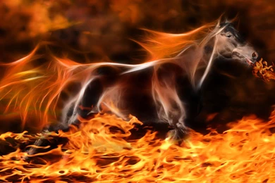 Fractal Animals Wallpapers