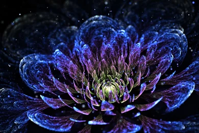 Fractal Art, Pattern, Flower, Art, Background, Clored, Hd, Wallpapers