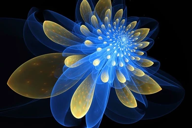 Fractal Art Wallpapers Collection