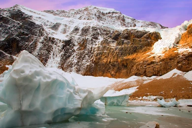 Ice Flow At The Base Of Angel Glacier Jasper National Park Alberta ...
