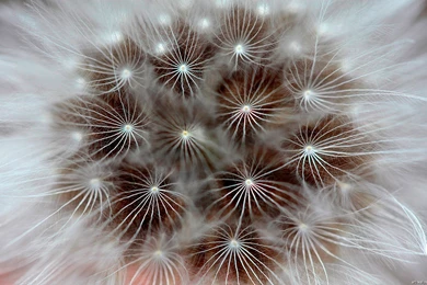 Wallpapers Modern Abstract Modernart 2560x1600