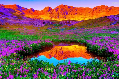 Pretty Mossy Cliffs Ocean Sky Wallpapers