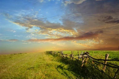 Free Screensavers Download   SaversPlanet.com