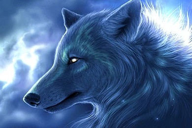 Wallpapers Wolf Homepage Arctic 2560x1440