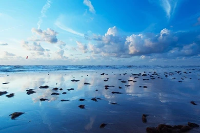 Live Wallpapers 166   HD Wallpapers