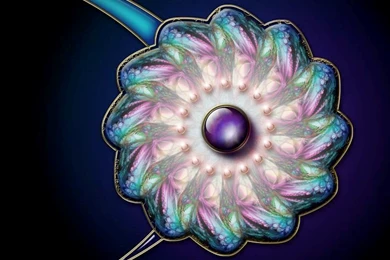 Best Fractals Wallpapers Collection 1600x1200