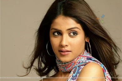 Genelia D Souza   Wallpapers Gallery