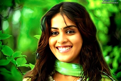Genelia D'Souza HQ Wallpapers