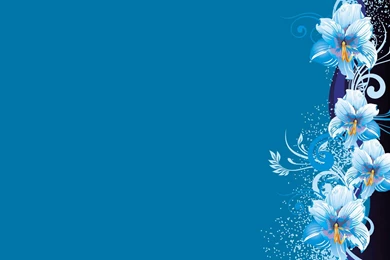 Desktop Images, Colors, Lovely Wallpapers, Cool, Paints, Cute ...